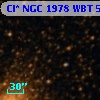 Cl* NGC 1978    WBT     599