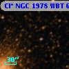 Cl* NGC 1978    WBT     601