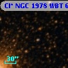 Cl* NGC 1978    WBT     603