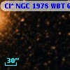 Cl* NGC 1978    WBT     642