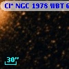 Cl* NGC 1978    WBT     647