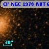 Cl* NGC 1978    WBT     651