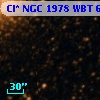 Cl* NGC 1978    WBT     663