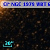 Cl* NGC 1978    WBT     666