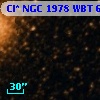 Cl* NGC 1978    WBT     667
