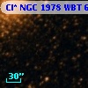 Cl* NGC 1978    WBT     668