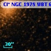 Cl* NGC 1978    WBT     673