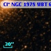 Cl* NGC 1978    WBT     684