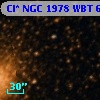 Cl* NGC 1978    WBT     689