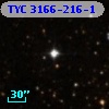 TYC 3166-216-1