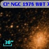 Cl* NGC 1978    WBT     705