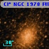 Cl* NGC 1978     FW      30