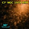 Cl* NGC 1978    WBT     730