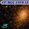 Cl* NGC 1978     LE      13