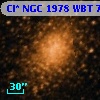 Cl* NGC 1978    WBT     744