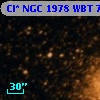 Cl* NGC 1978    WBT     753
