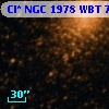 Cl* NGC 1978    WBT     767