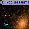 Cl* NGC 1978    WBT     768