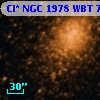 Cl* NGC 1978    WBT     786