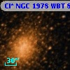 Cl* NGC 1978    WBT     800