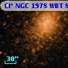 Cl* NGC 1978    WBT     801