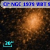 Cl* NGC 1978    WBT     818