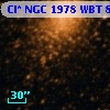 Cl* NGC 1978    WBT     824