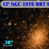 Cl* NGC 1978    WBT     835