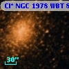 Cl* NGC 1978    WBT     892