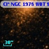 Cl* NGC 1978    WBT     895