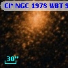 Cl* NGC 1978    WBT     919