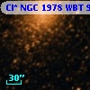 Cl* NGC 1978    WBT     924