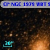 Cl* NGC 1978    WBT     955