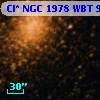 Cl* NGC 1978    WBT     956