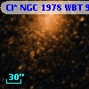 Cl* NGC 1978    WBT     959