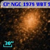 Cl* NGC 1978    WBT     960