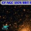 Cl* NGC 1978    WBT     962