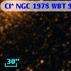 Cl* NGC 1978    WBT     964