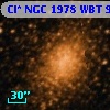 Cl* NGC 1978    WBT     988