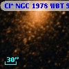 Cl* NGC 1978    WBT     993