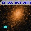 Cl* NGC 1978    WBT     996