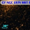 Cl* NGC 1978    WBT     998