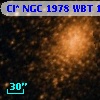 Cl* NGC 1978    WBT    1001