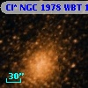 Cl* NGC 1978    WBT    1005