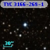 TYC 3166-268-1