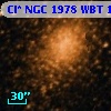 Cl* NGC 1978    WBT    1007