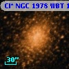 Cl* NGC 1978    WBT    1019