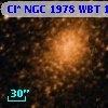 Cl* NGC 1978    WBT    1029