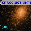 Cl* NGC 1978    WBT    1031