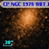 Cl* NGC 1978    WBT    1038